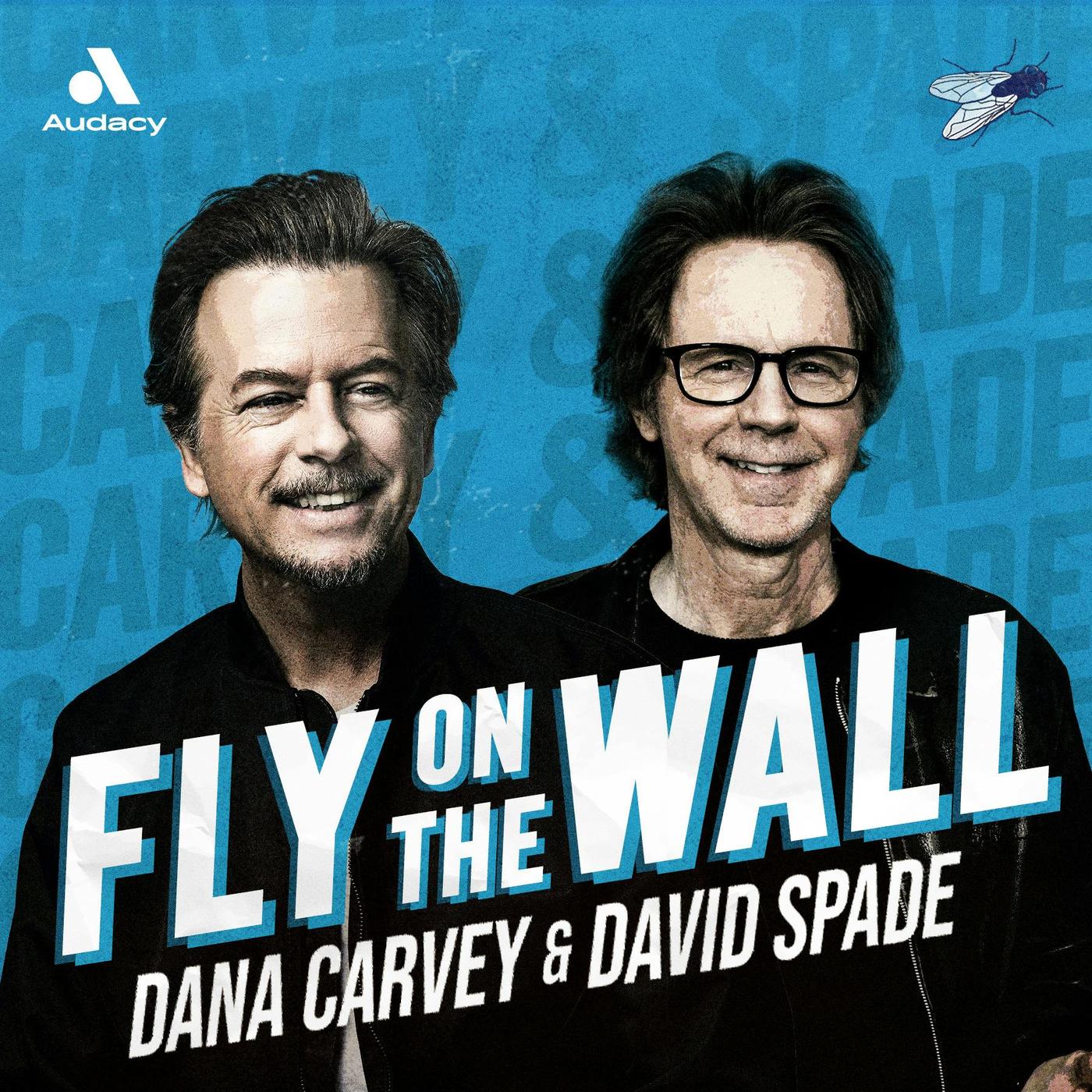 Fly on the Wall podcast artwork