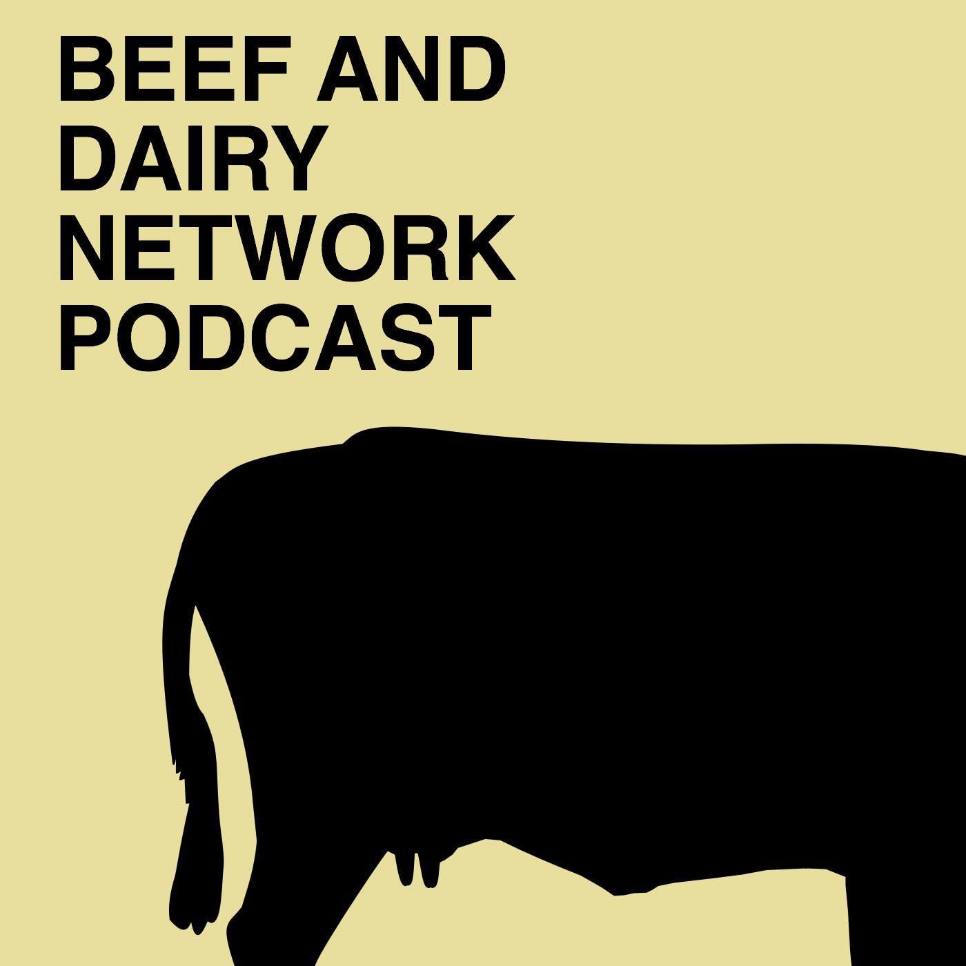 The Beef and Dairy Network podcast artwork