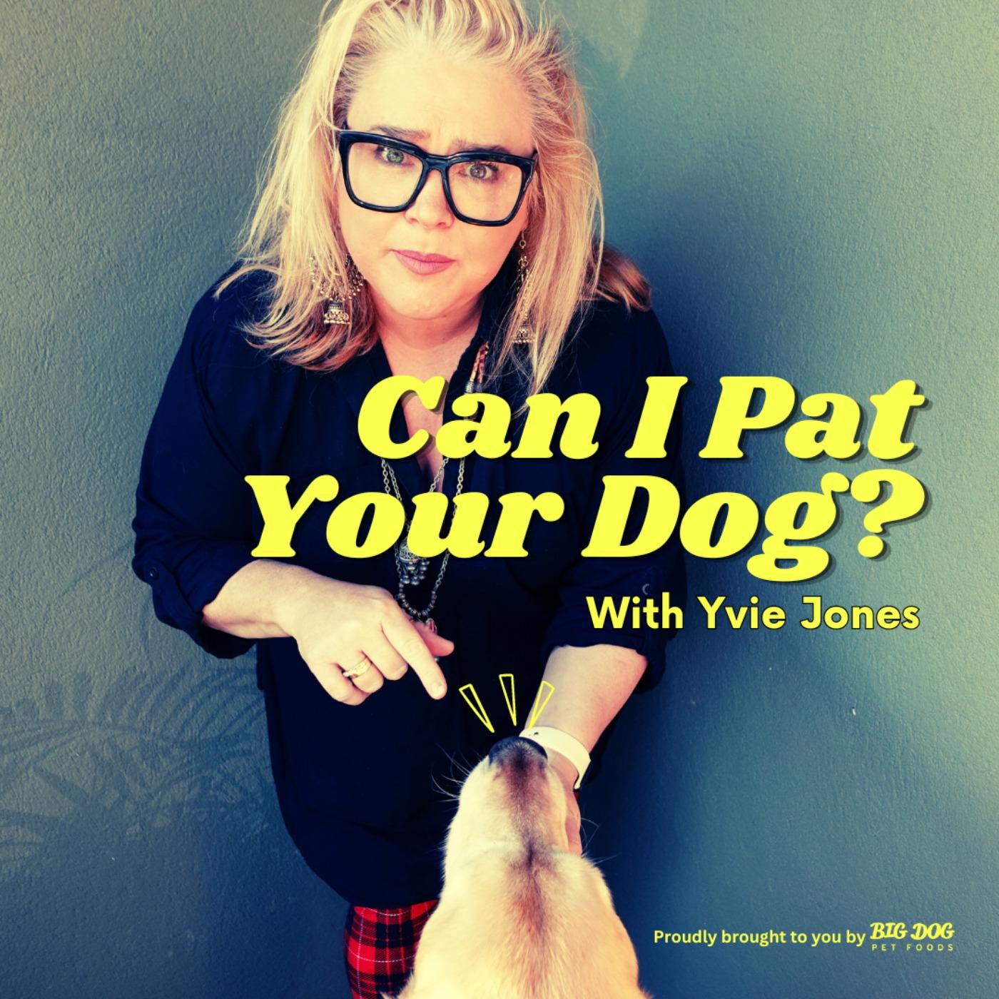 Can I Pet Your Dog? podcast artwork