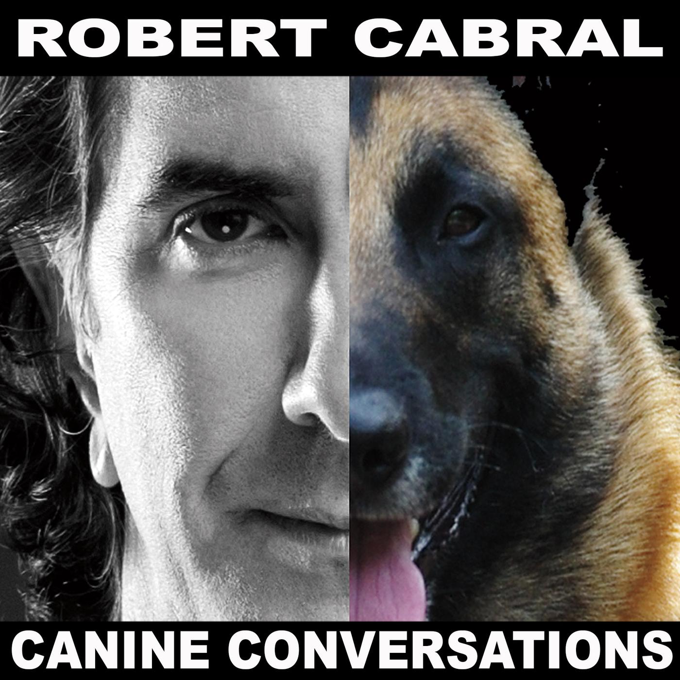 Canine Conversations podcast artwork