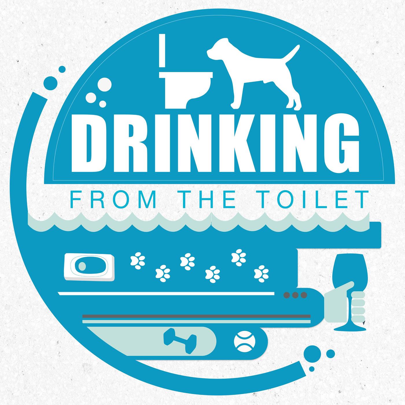 Drinking from the Toilet podcast artwork