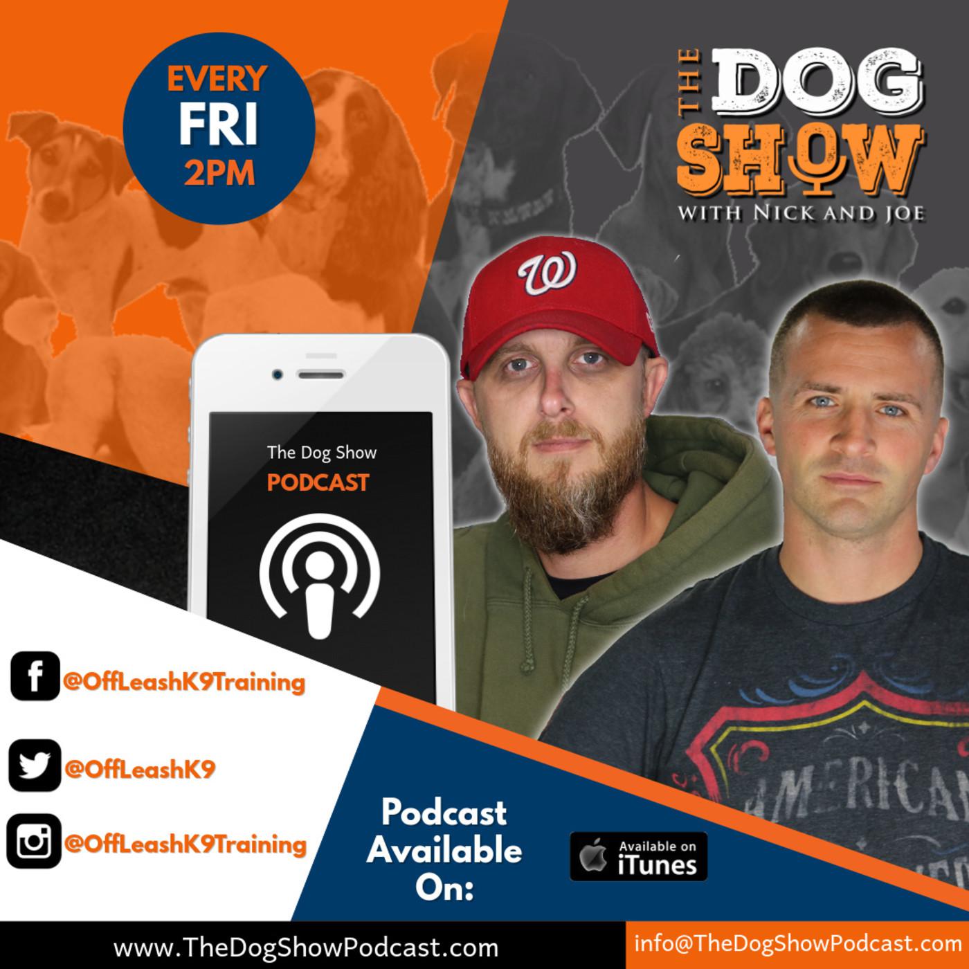 The Dog Show with Nick and Joe podcast artwork