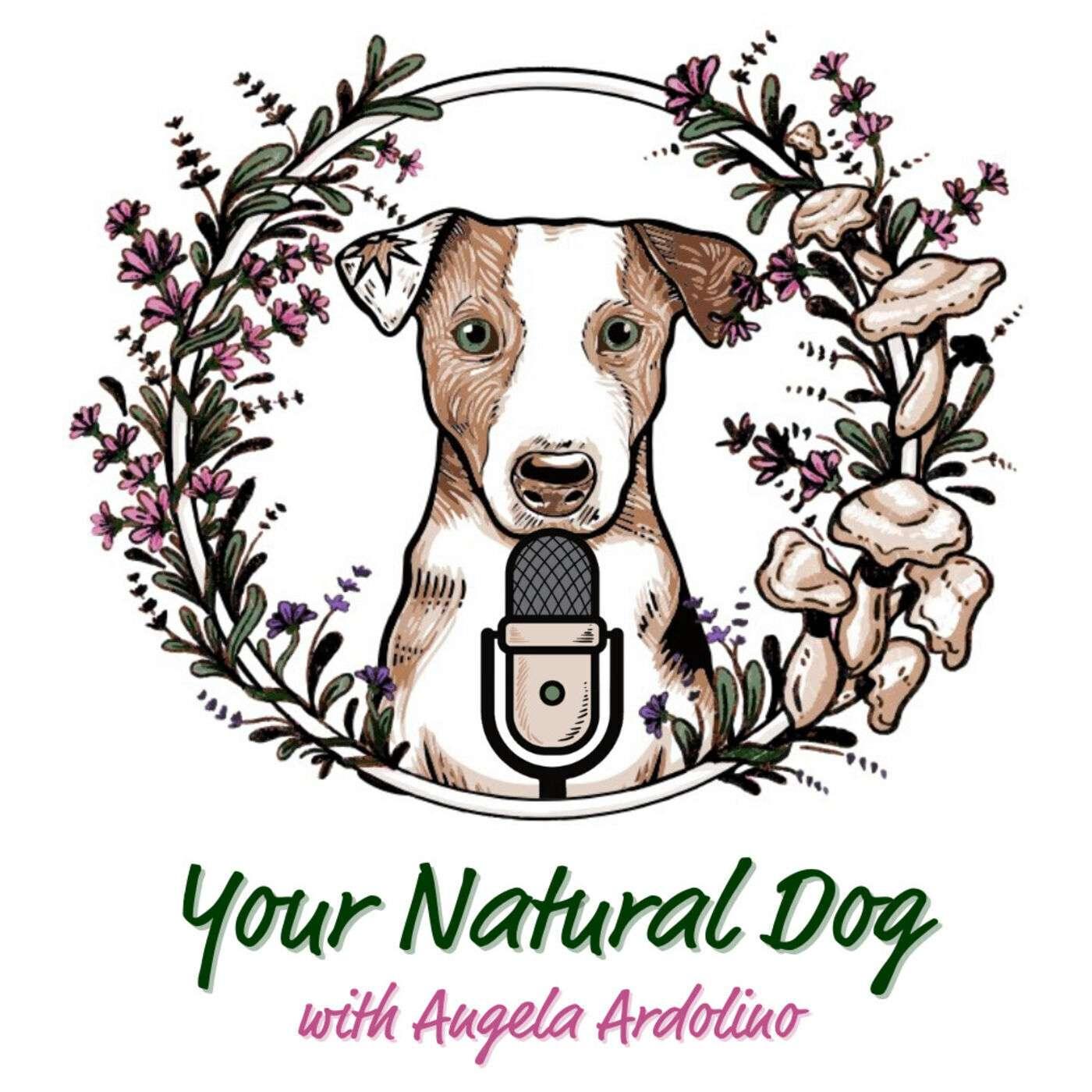 Your Dogs Friend Podcast podcast artwork