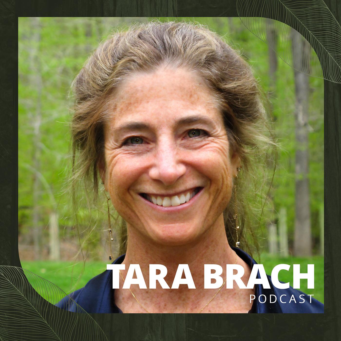 Tara Brach podcast artwork