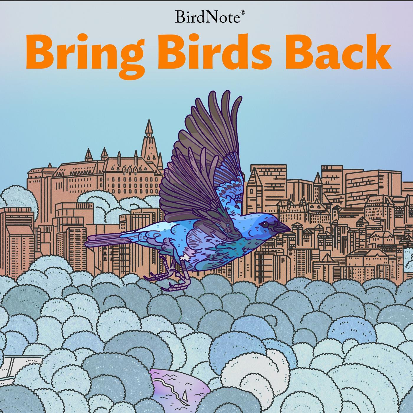 Bring Birds Back podcast artwork