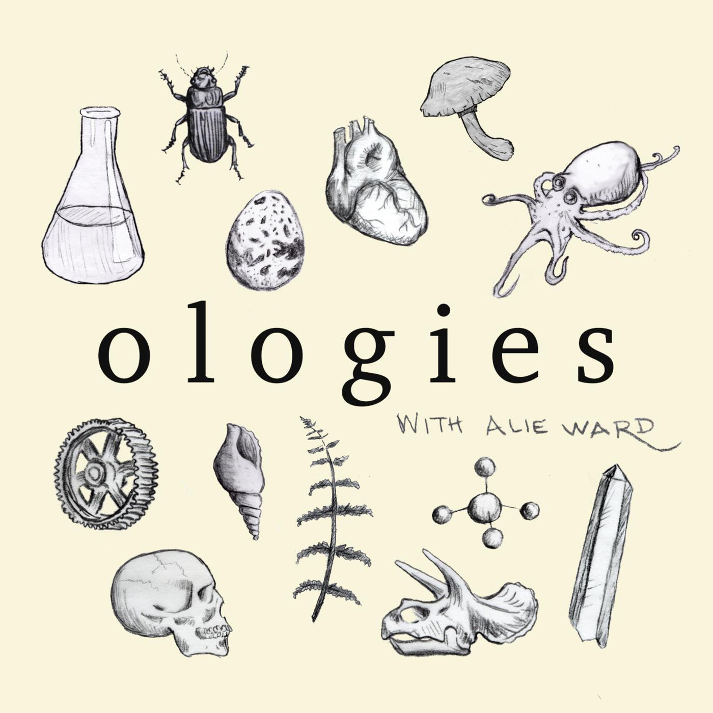 Ologies with Alie Ward podcast artwork