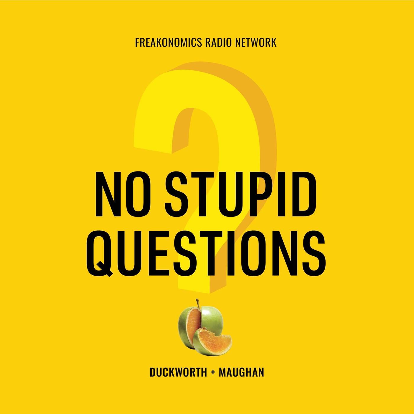 No Stupid Questions podcast artwork