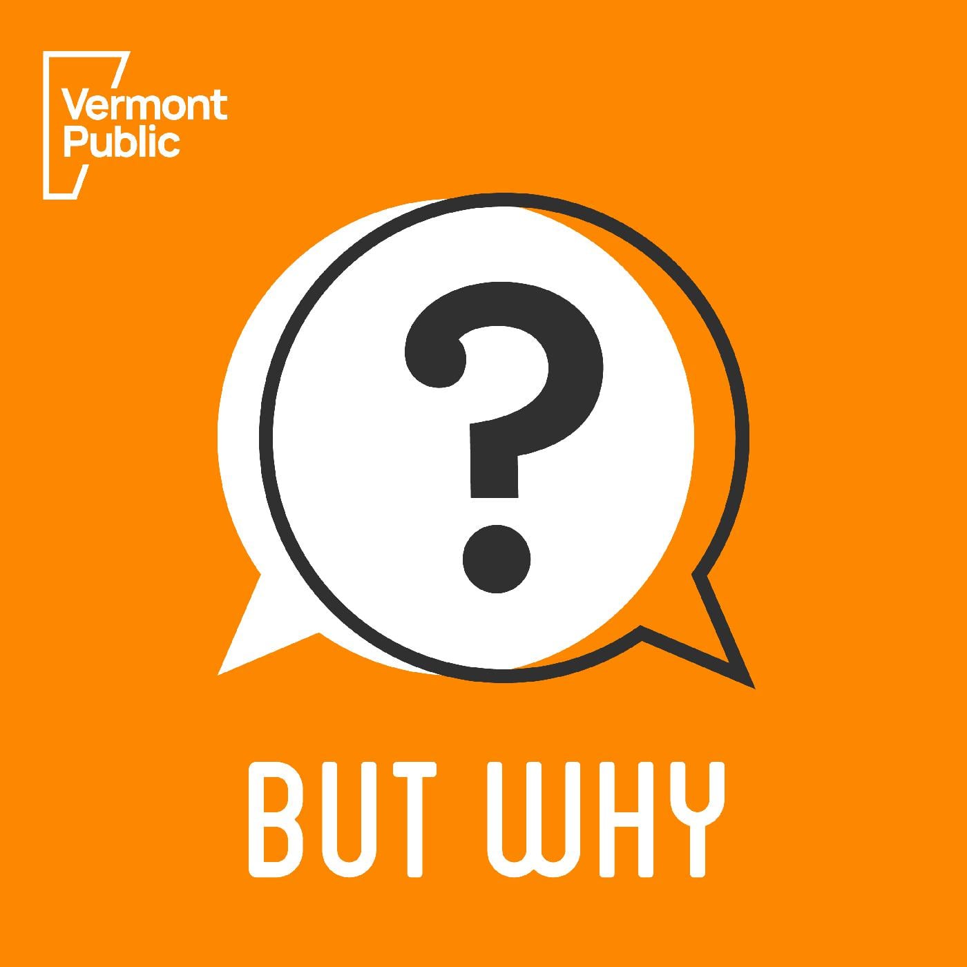 But Why: A Podcast for Curious Kids podcast artwork