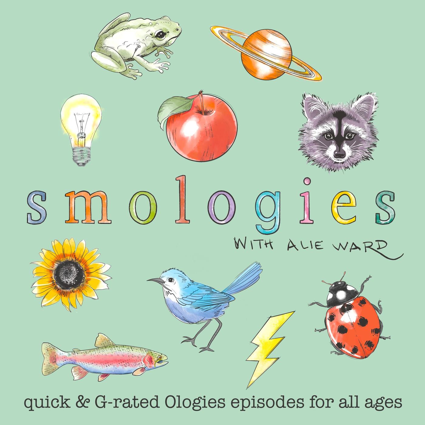 Ologies with Alie Ward podcast artwork
