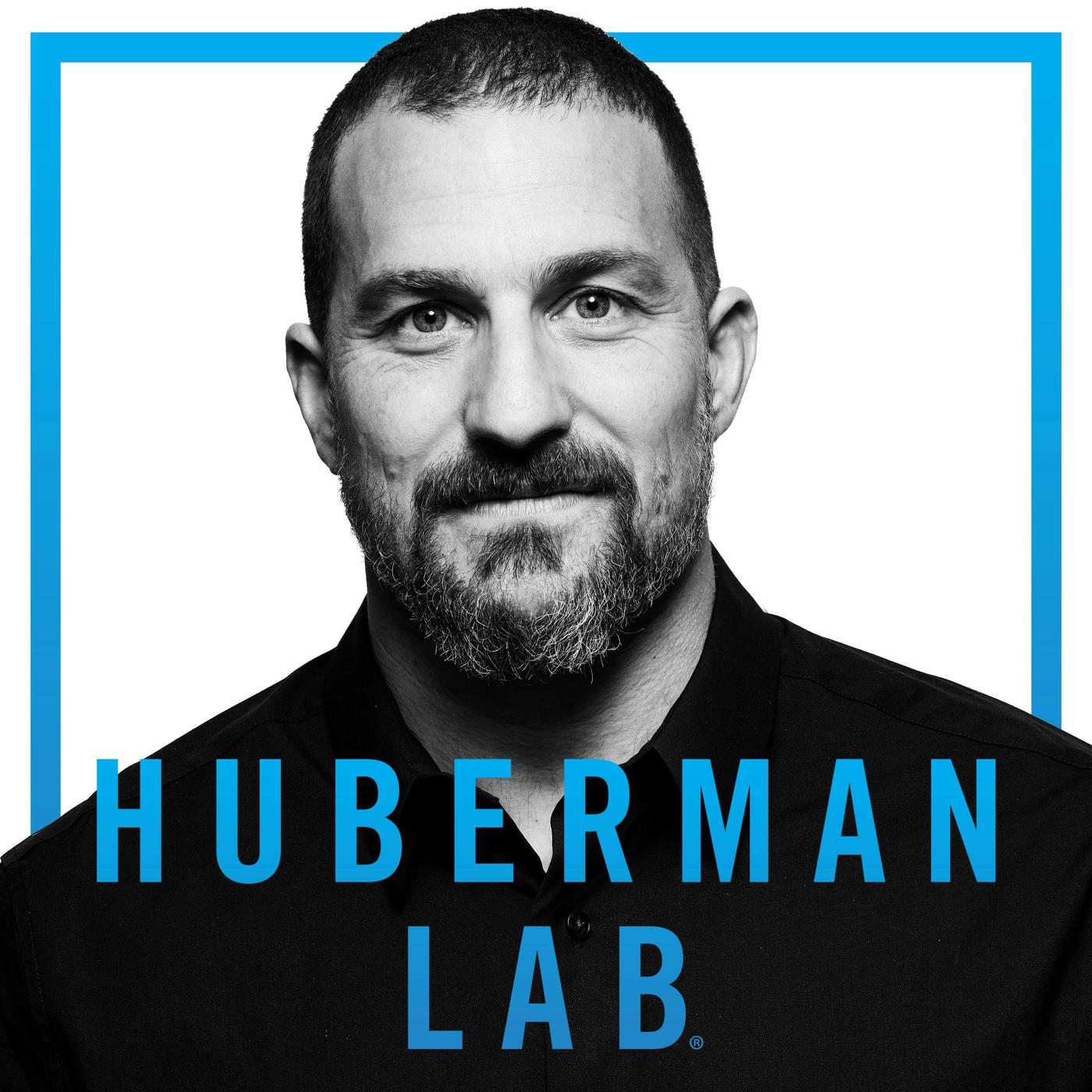Huberman Lab podcast artwork