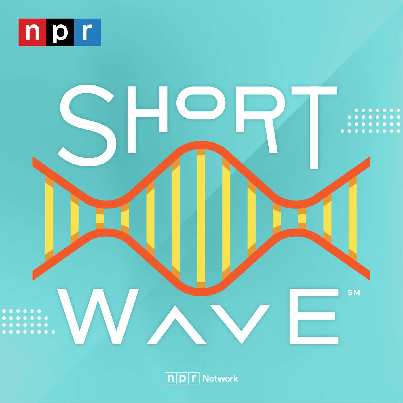 Short Wave podcast artwork
