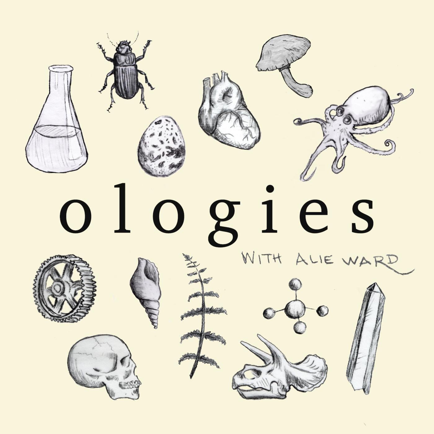 64) Ologies